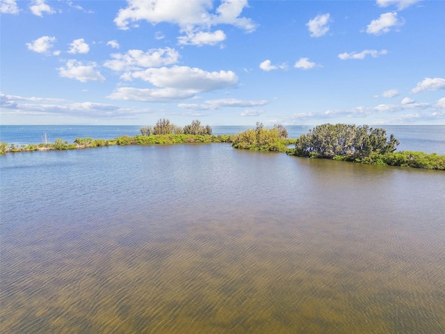 5915 Sea Ranch Dr Unit 209, Hudson, FL 34667 - photo 45
