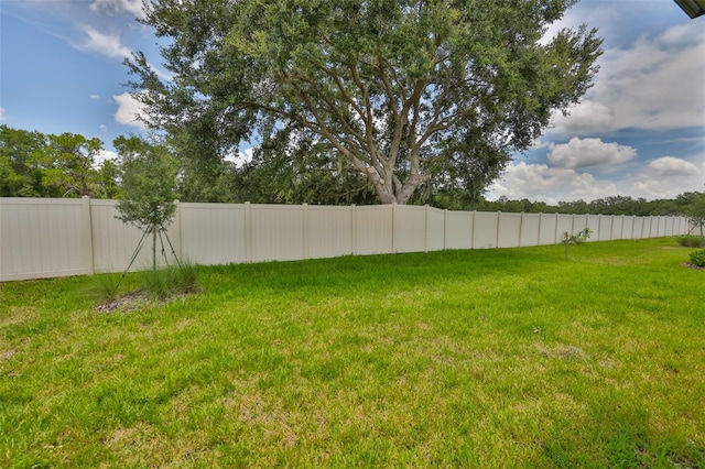 2948 Forest Meadow Ave, Valrico, FL 33594 - photo 34