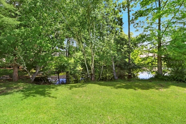 11839 Lancashire Dr, Tampa, FL 33626 - photo 31