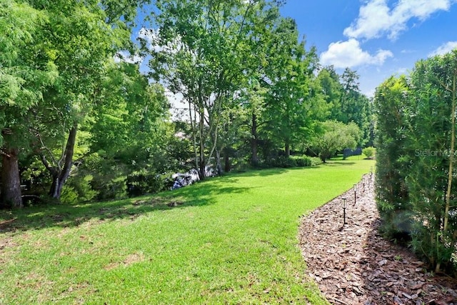 11839 Lancashire Dr, Tampa, FL 33626 - photo 42