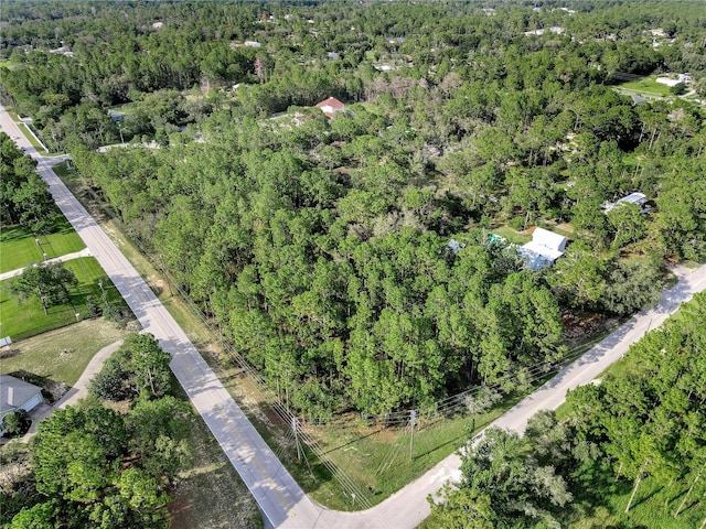 14163 Highgrove Rd, Spring Hill, FL 34609 - photo 1
