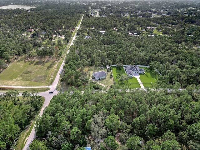 14163 Highgrove Rd, Spring Hill, FL 34609 - photo 11