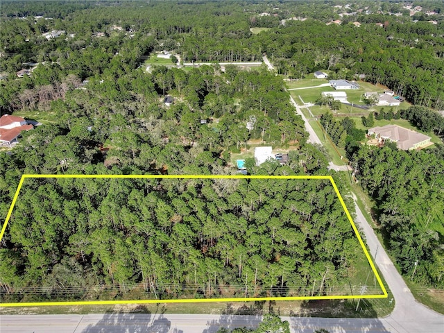14163 Highgrove Rd, Spring Hill, FL 34609 - photo 14