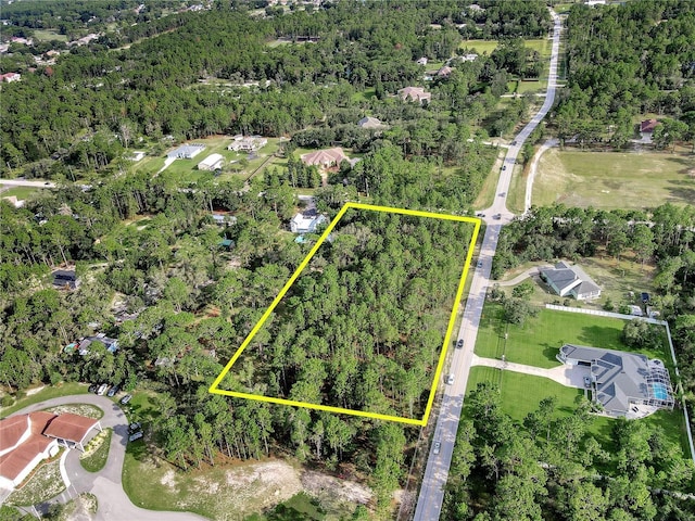 14163 Highgrove Rd, Spring Hill, FL 34609 - photo 15