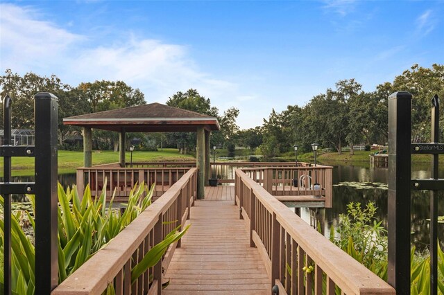 17108 Tiffany Lake Pl, Lutz, FL 33549 - photo 81