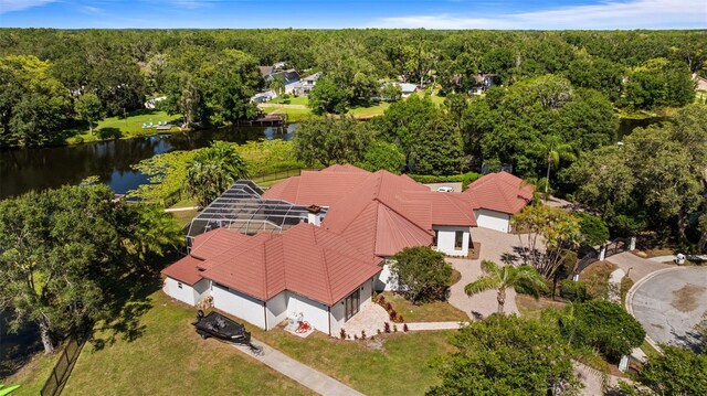 17108 Tiffany Lake Pl, Lutz, FL 33549 - photo 85