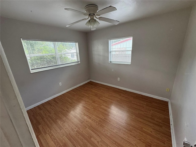 7139 Cavan St, New Port Richey, FL 34653 - photo 4