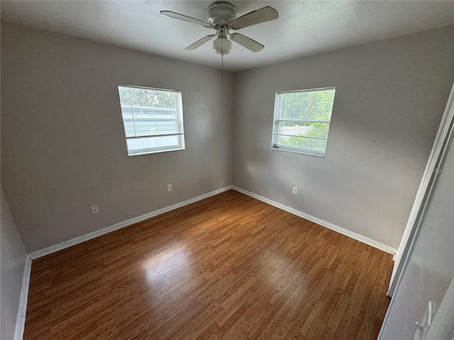 7139 Cavan St, New Port Richey, FL 34653 - photo 6
