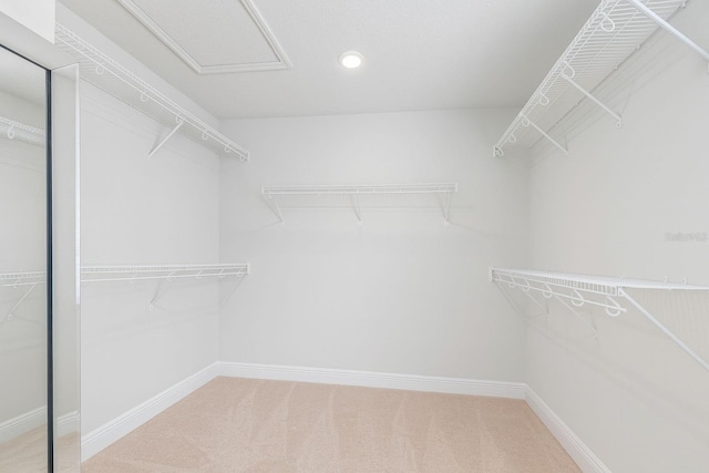 2800 2nd Ave S, Saint Petersburg, FL 33712 - photo 33