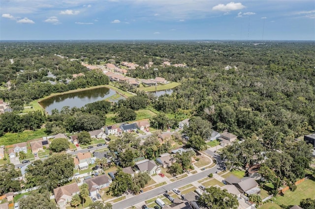 4018 Forecast Dr, Brandon, FL 33511 - photo 27