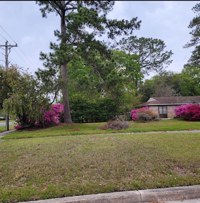 356 Evergreen Ln, Middleburg, FL 32068 - photo 21