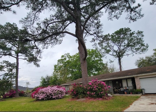 356 Evergreen Ln, Middleburg, FL 32068 - photo 23