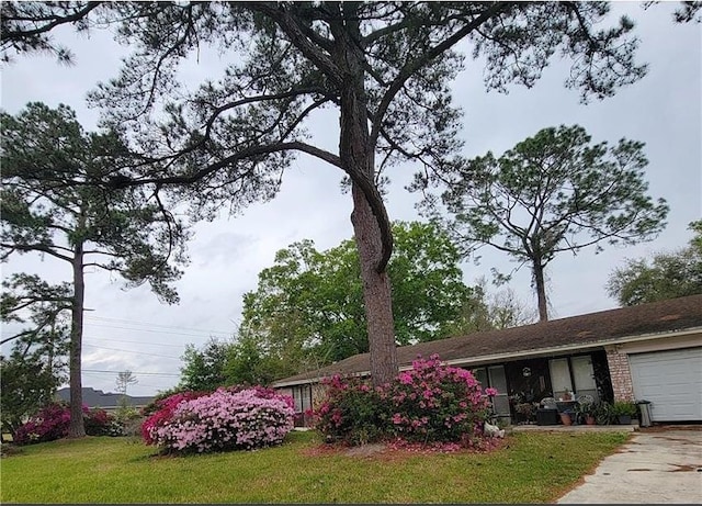 356 Evergreen Ln, Middleburg, FL 32068 - photo 24