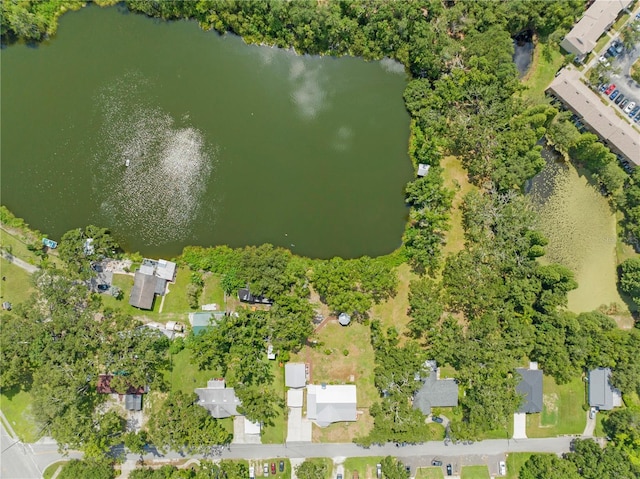 2312 Palm Ave, Seffner, FL 33584 - photo 6