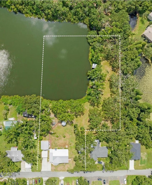 2312 Palm Ave, Seffner, FL 33584 - photo 4