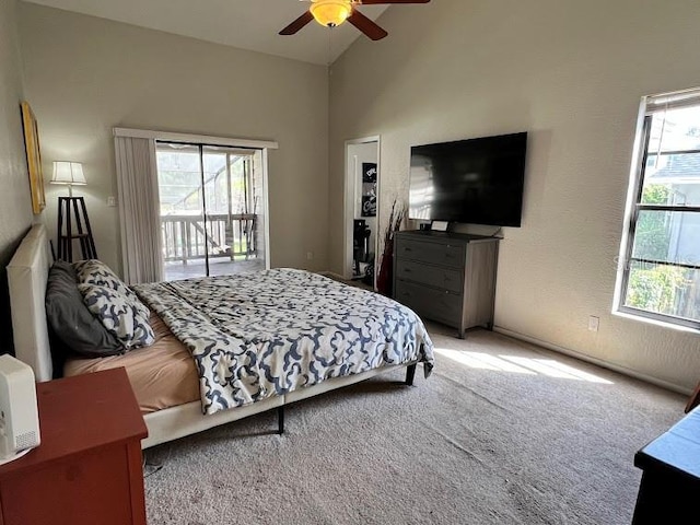 413 Manor Blvd, Palm Harbor, FL 34683 - photo 12