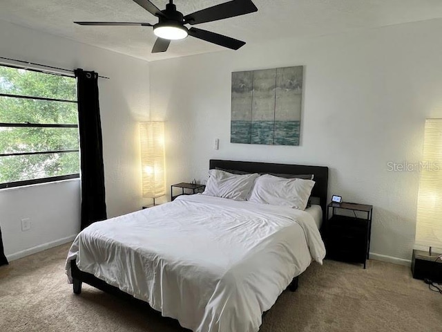 413 Manor Blvd, Palm Harbor, FL 34683 - photo 20