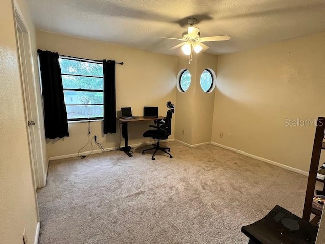 413 Manor Blvd, Palm Harbor, FL 34683 - photo 22