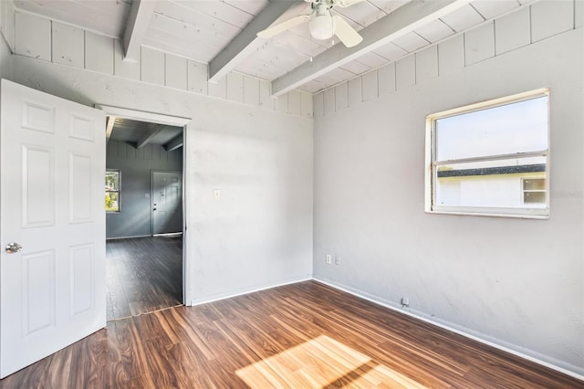 905 E 124th Ave, Tampa, FL 33612 - photo 10