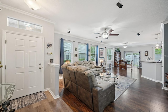 8850 Moonlit Meadows Loop, Riverview, FL 33578 - photo 8