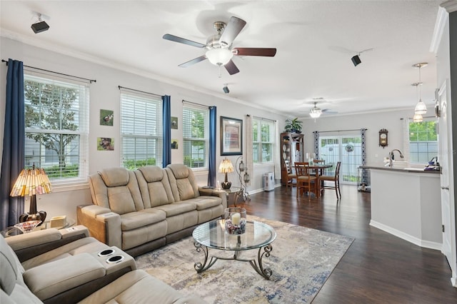 8850 Moonlit Meadows Loop, Riverview, FL 33578 - photo 11