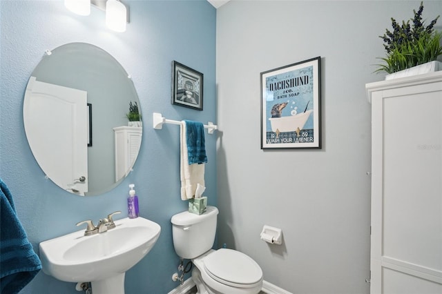 8850 Moonlit Meadows Loop, Riverview, FL 33578 - photo 13