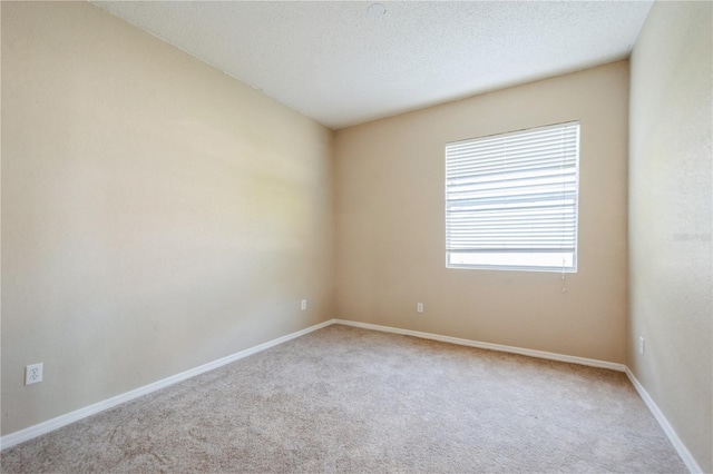 1833 Hillcrest St, Tarpon Springs, FL 34689 - photo 27