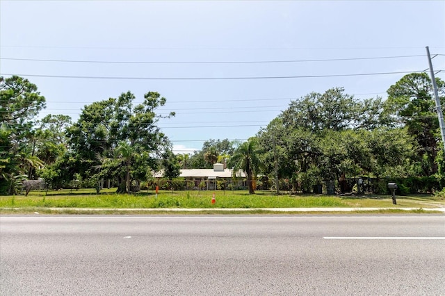 12115 S US Highway 41, Gibsonton, FL 33534 - photo 6