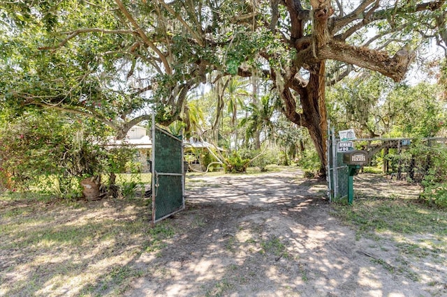 12115 S US Highway 41, Gibsonton, FL 33534 - photo 8