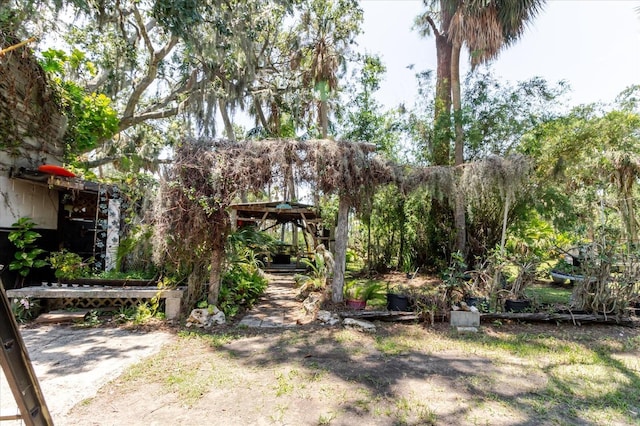 12115 S US Highway 41, Gibsonton, FL 33534 - photo 60