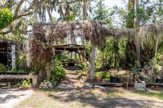 12115 S US Highway 41, Gibsonton, FL 33534 - photo 61