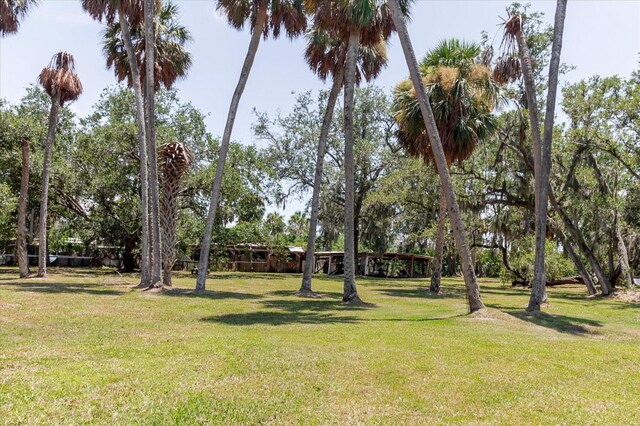 12115 S US Highway 41, Gibsonton, FL 33534 - photo 75