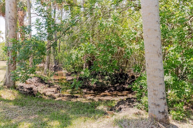 12115 S US Highway 41, Gibsonton, FL 33534 - photo 77