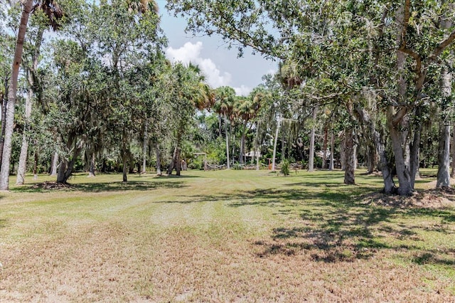12115 S US Highway 41, Gibsonton, FL 33534 - photo 78