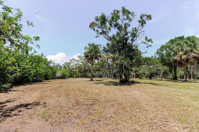 12115 S US Highway 41, Gibsonton, FL 33534 - photo 79