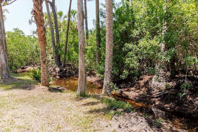 12115 S US Highway 41, Gibsonton, FL 33534 - photo 98