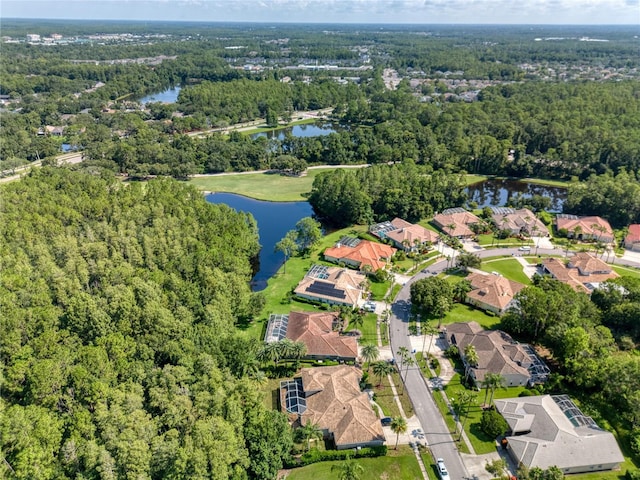 12031 Brewster Dr, Tampa, FL 33626 - photo 46