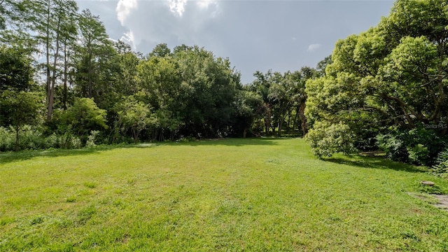16115 Carden Dr, Odessa, FL 33556 - photo 37