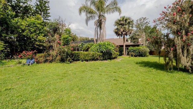 16115 Carden Dr, Odessa, FL 33556 - photo 38