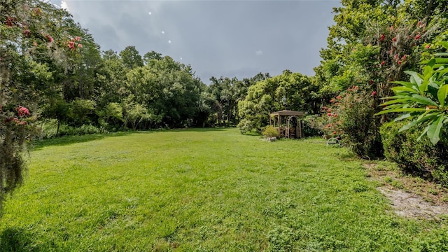 16115 Carden Dr, Odessa, FL 33556 - photo 40