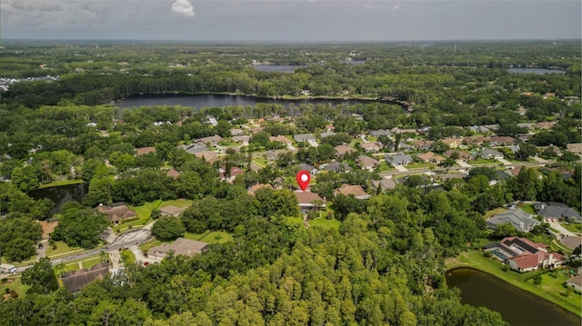16115 Carden Dr, Odessa, FL 33556 - photo 58