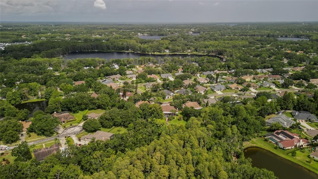 16115 Carden Dr, Odessa, FL 33556 - photo 59