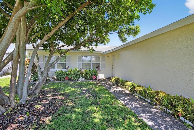 1436 Windmoor Dr, Dunedin, FL 34698 - photo 2