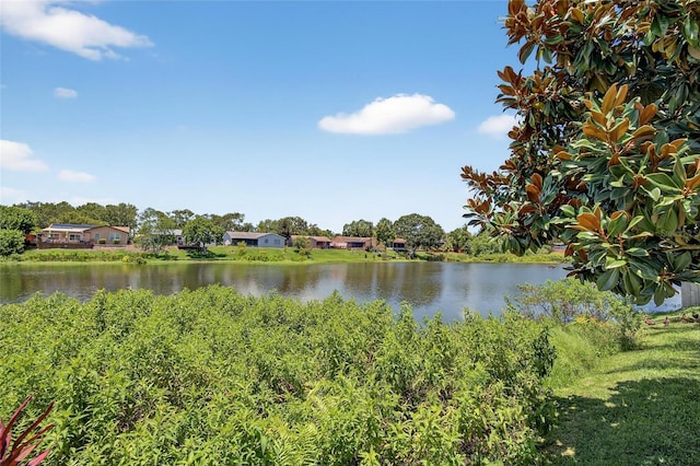 1436 Windmoor Dr, Dunedin, FL 34698 - photo 49