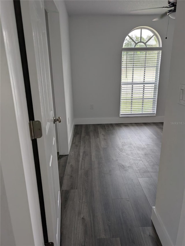 24942 Laurel Ridge Dr, Lutz, FL 33559 - photo 24
