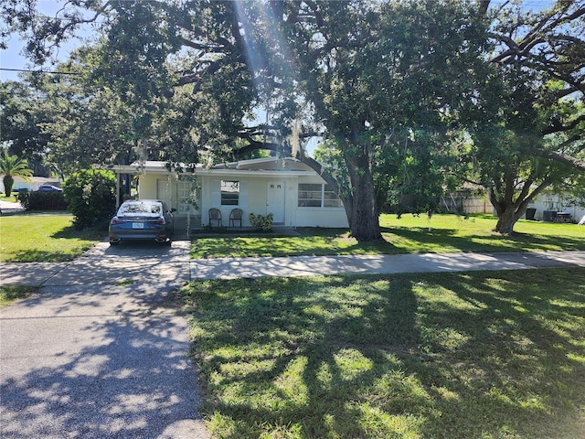 607 N Mcmullen Booth Rd, Clearwater, FL 33759 - photo 14