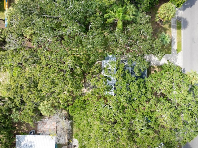 311 Banana St, Tarpon Springs, FL 34689 - photo 35
