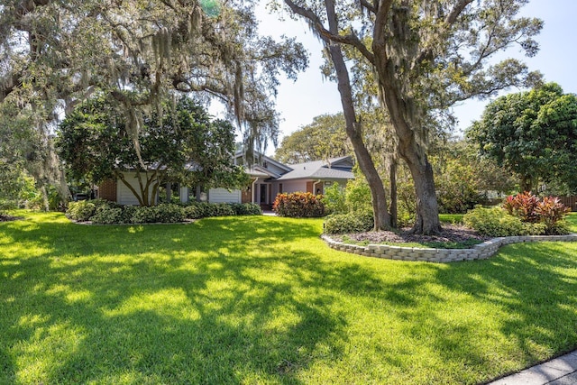 2401 Palm Blvd, Dunedin, FL 34698 - photo 2
