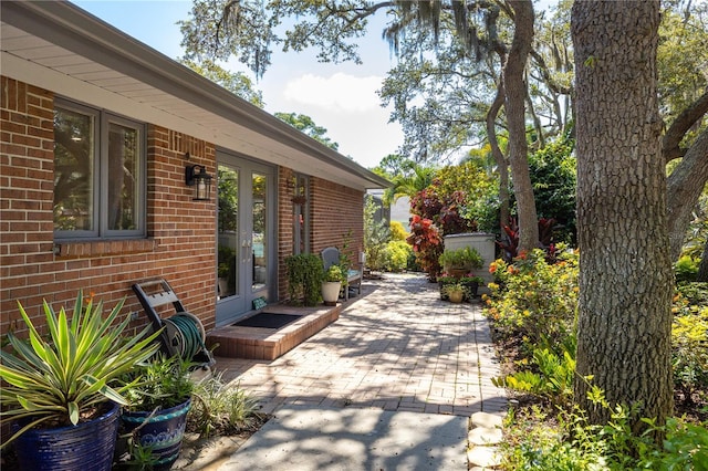 2401 Palm Blvd, Dunedin, FL 34698 - photo 6