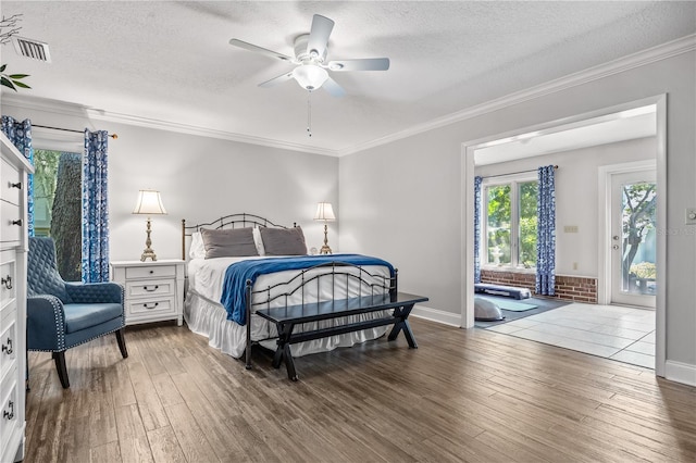2401 Palm Blvd, Dunedin, FL 34698 - photo 21